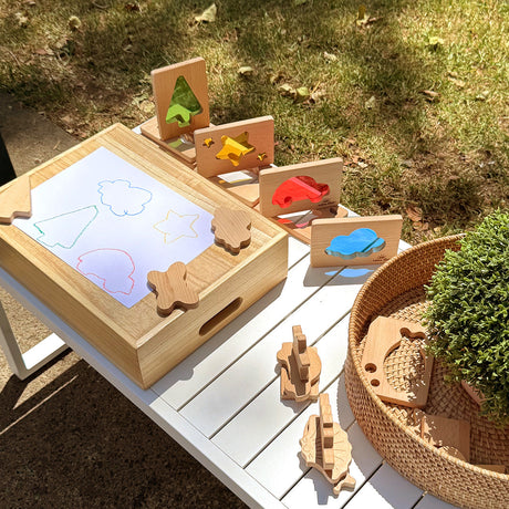 Little Looking Shapes Tracing Outdoors