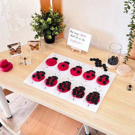 Ladybird Counting Activity