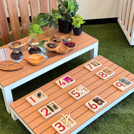 Counting Nature Activity