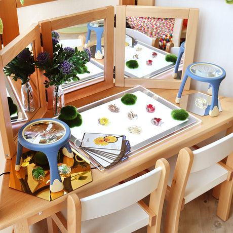 Specimen Stone - Plant Investigation 🌼