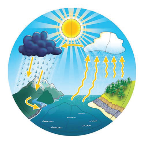 Nature & Environment