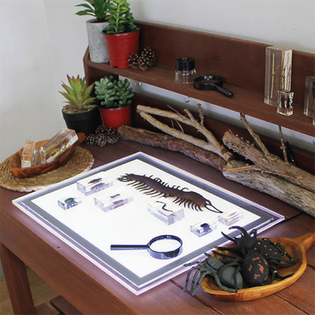 Value Packs Science & Discovery