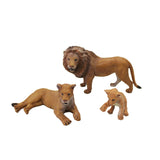 Lions - 3pc