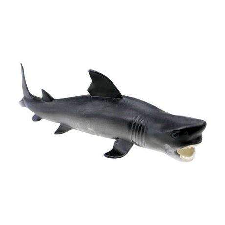 Bull Shark - Educating Kids