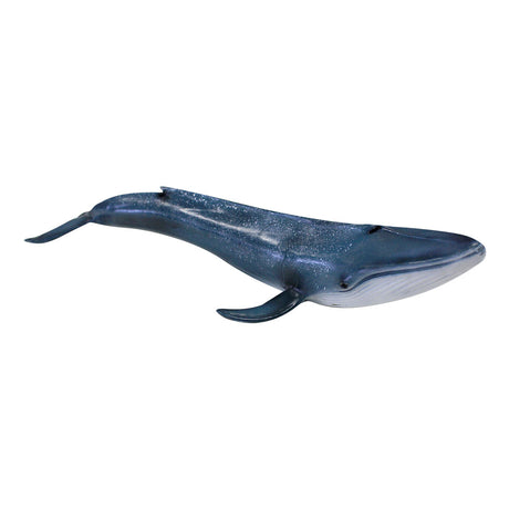 1277-0023_blue-whale_01_large.jpg