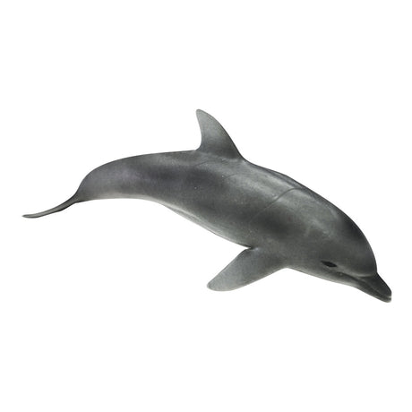 1277-0026_dolphin_01_large.jpg