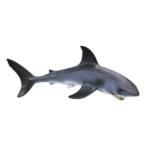 Great White Shark - Educating Kids