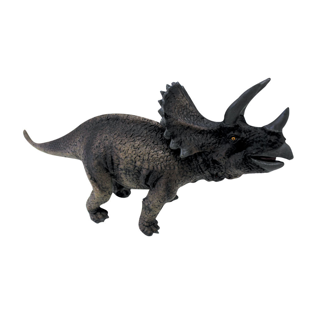 Triceratops