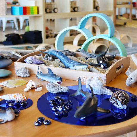 Marine - Set of 8 - Educating Kids