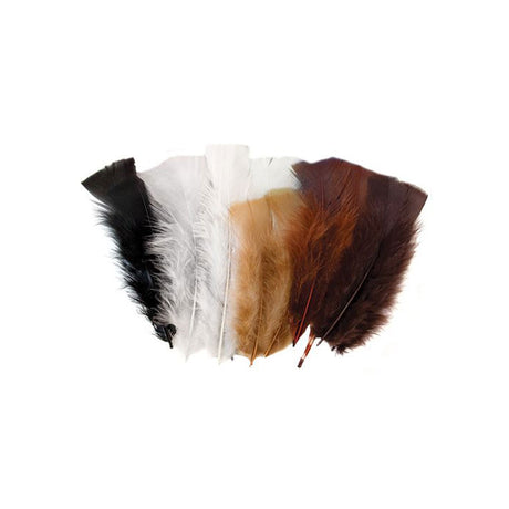 Feathers Natural - Pack of 240 - 60g - Educating Kids