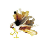 Feathers Natural - Pack of 240 - 60g - Educating Kids