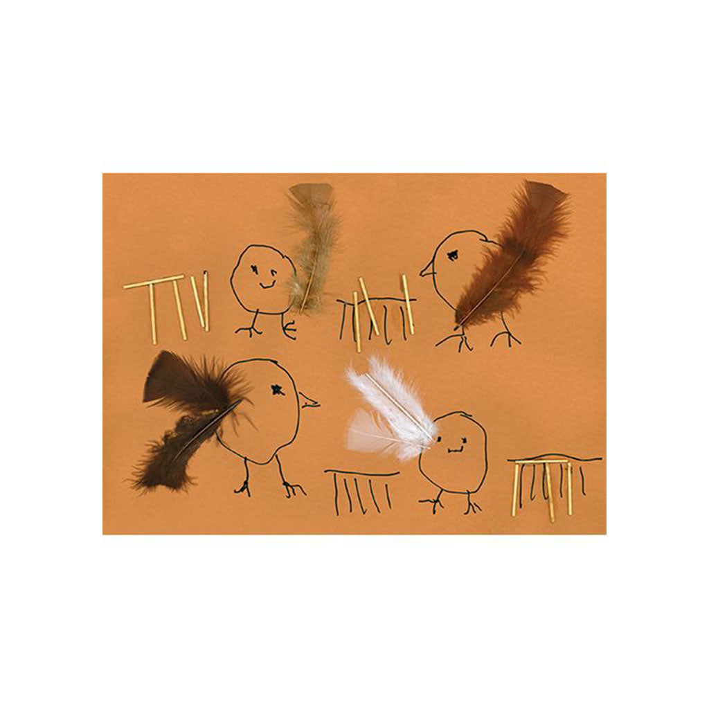 Feathers Natural - Pack of 240 - 60g - Educating Kids