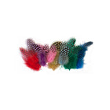 Guinea Fowl Feathers Asst – Pack of 100 - 10g - Educating Kids