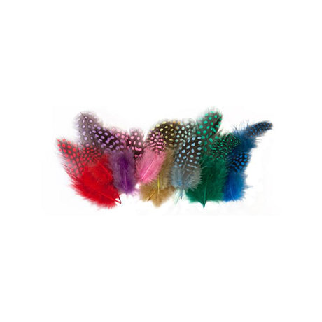 Guinea Fowl Feathers Asst – Pack of 100 - 10g - Educating Kids