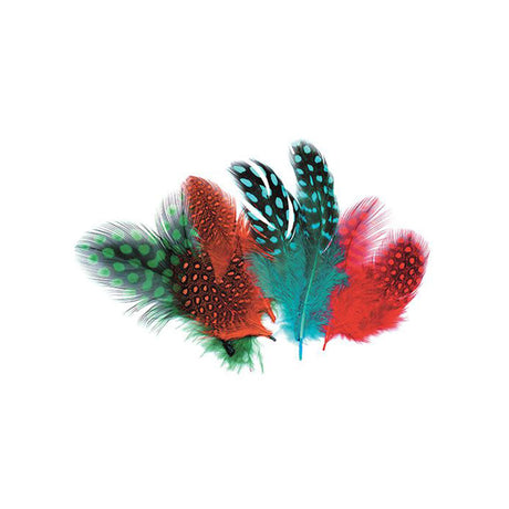 Guinea Fowl Feathers Asst – Pack of 100 - 10g - Educating Kids
