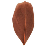 Trimmed Feathers Natural - 20g