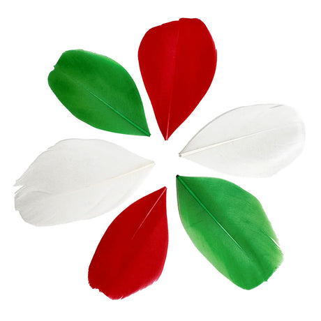 Trimmed Feathers Christmas Mix - 30g