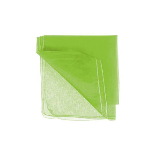 Poly Organza - Lime Green - 70cm x 10m - Educating Kids