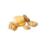 Watercolour Sponges Assorted - Pack of 6 - Educating Kids