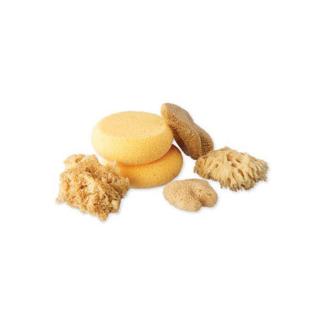 Watercolour Sponges Assorted - Pack of 6 - Educating Kids