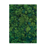 Foliage Pattern Paper A4 - Pack of 40 - Educating Kids