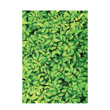 Foliage Pattern Paper A4 - Pack of 40 - Educating Kids