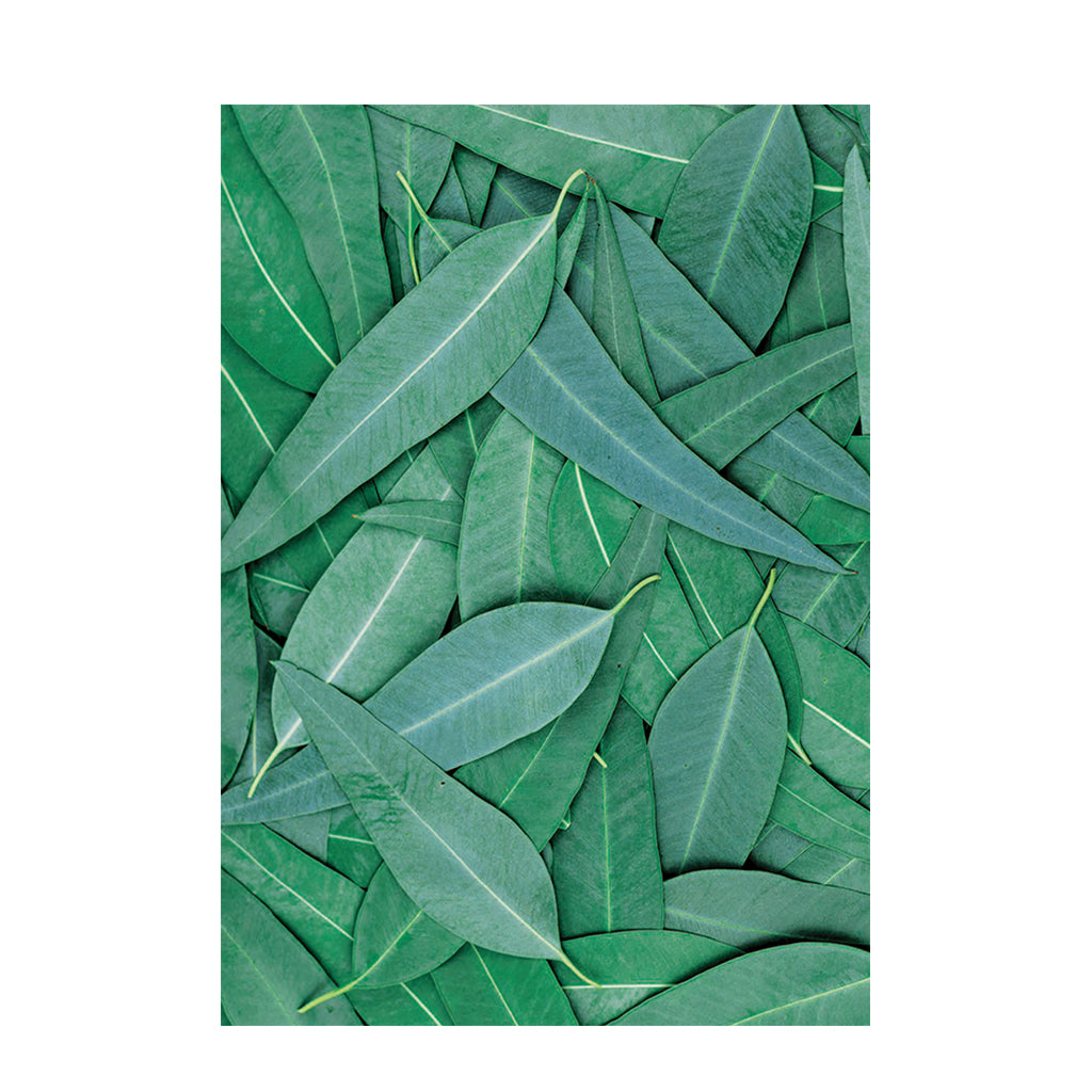 Foliage Pattern Paper A4 - Pack of 40 - Educating Kids