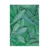 Foliage Pattern Paper A4 - Pack of 40 - Educating Kids