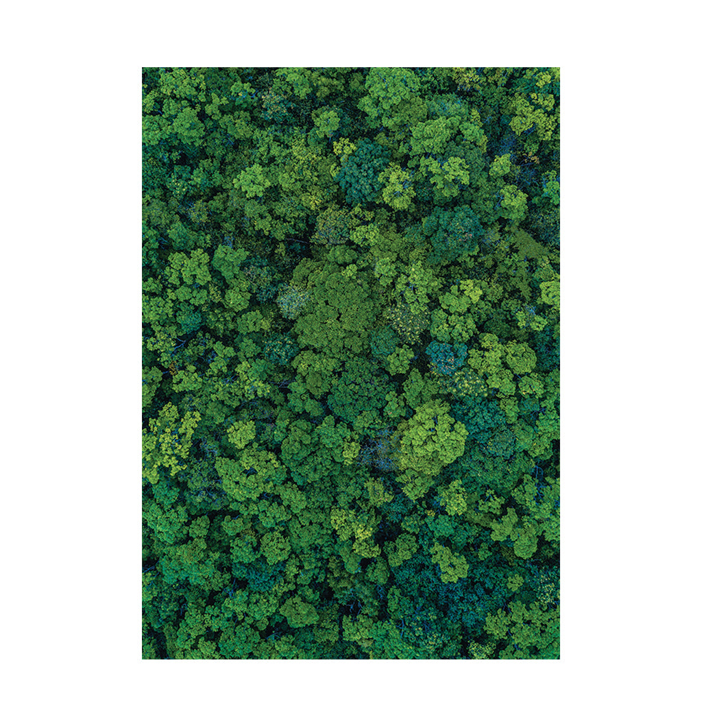 Foliage Pattern Paper A4 - Pack of 40 - Educating Kids