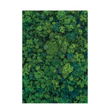 Foliage Pattern Paper A4 - Pack of 40 - Educating Kids