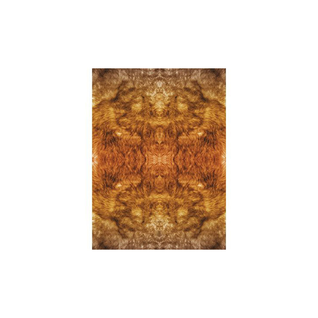 Animal Pattern Paper A4 – Pack of 40 - Educating Kids