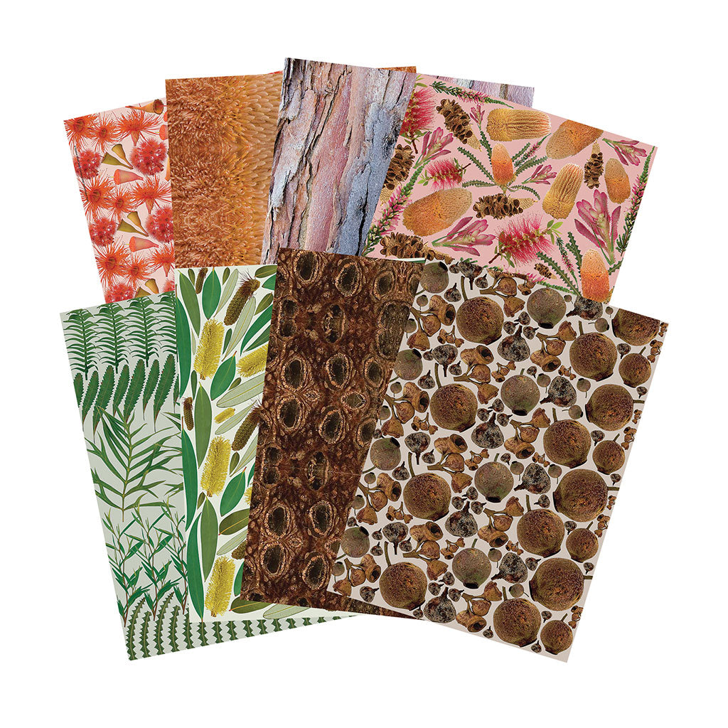 Australian Plant Pattern Paper A4 - Pack of 40 - Educating Kids