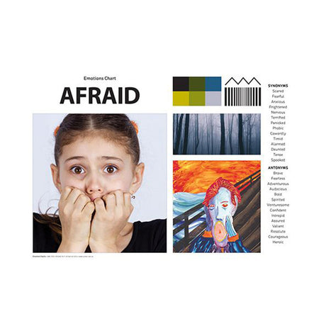 Emotions Art & Language Chart Pack A3