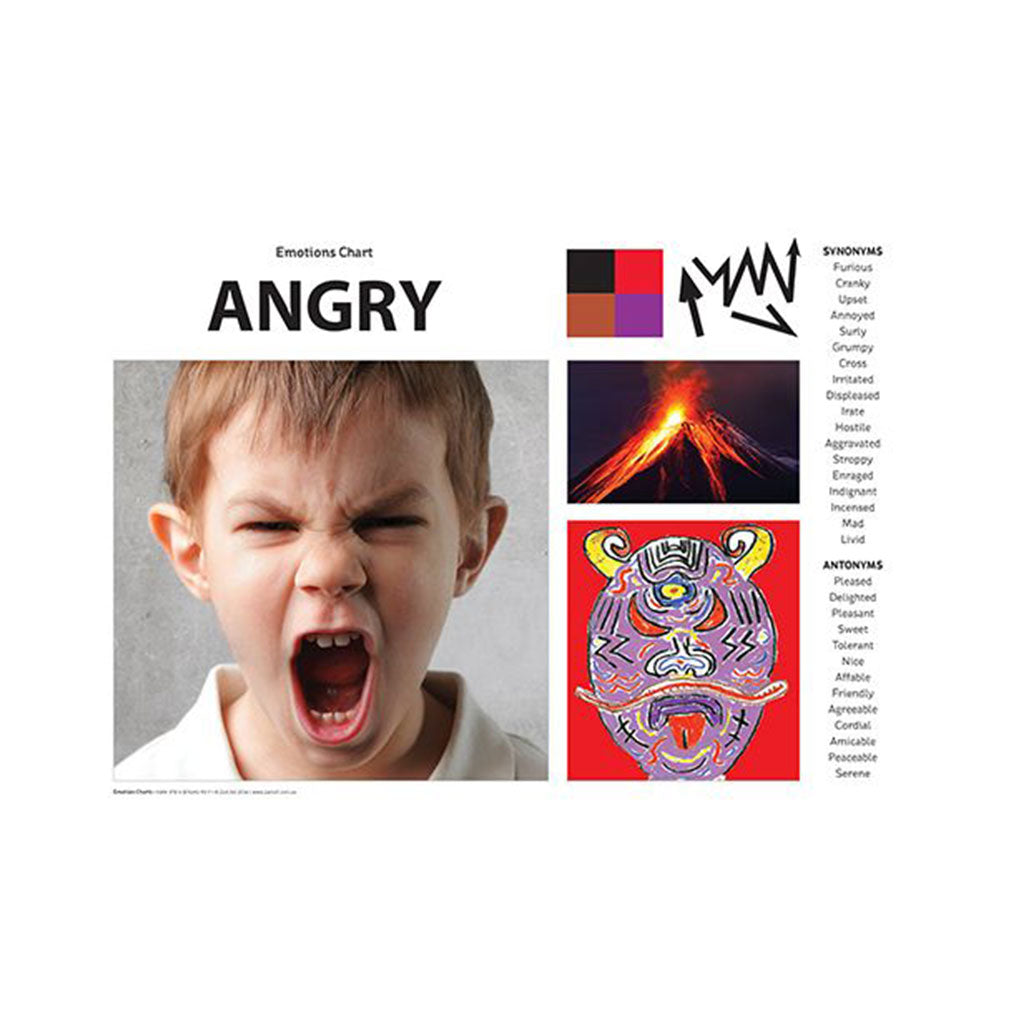 Emotions Art & Language Chart Pack A3