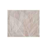 Skeleton Leaves Natural - Pack of 100 - Educating Kids