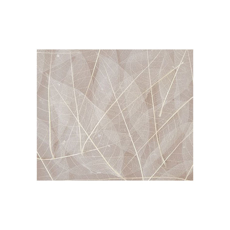 Skeleton Leaves Natural - Pack of 100 - Educating Kids