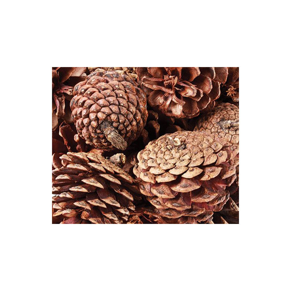 Pine Cones - 4-6cm - 200gm