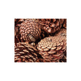 Pine Cones - 4-6cm - 200gm
