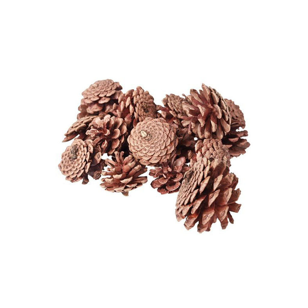 Pine Cones - 4-6cm - 200gm