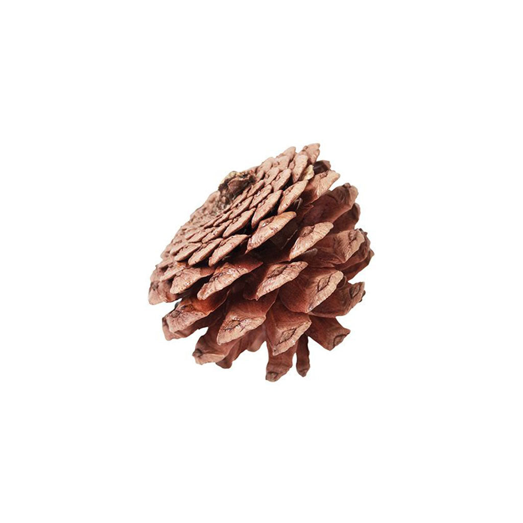 Pine Cones - 4-6cm - 200gm