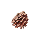 Pine Cones - 4-6cm - 200gm