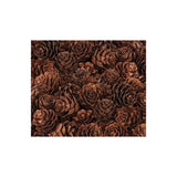 Pine Cones Mini - 190g Bag