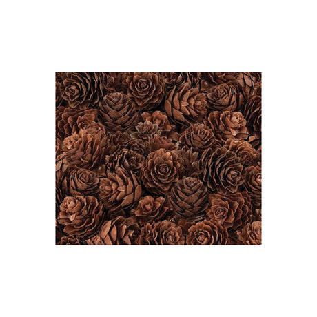 Pine Cones Mini - 190g Bag