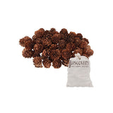 Pine Cones Mini - 190g Bag