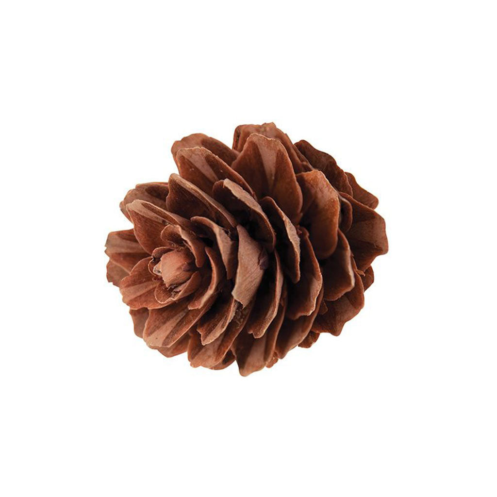 Pine Cones Mini - 190g Bag