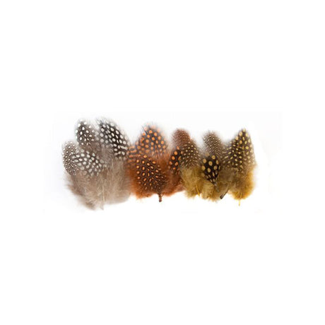 Guinea Fowl Feathers Natural Pack of 10g - Educating Kids
