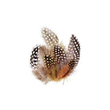 Guinea Fowl Feathers Natural Pack of 10g - Educating Kids