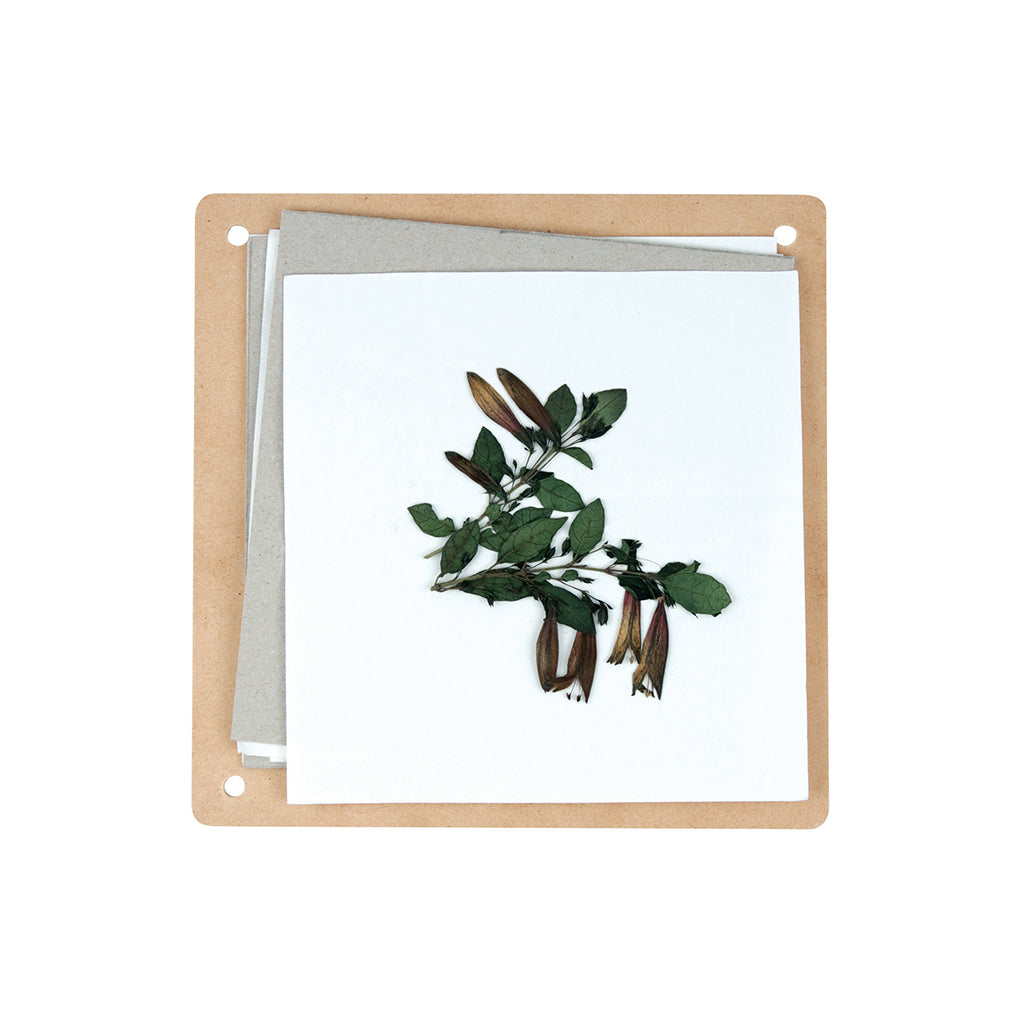 Wooden Flower Press with Metal Wingnut Screws - Educating Kids