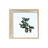 Wooden Flower Press with Metal Wingnut Screws - Educating Kids