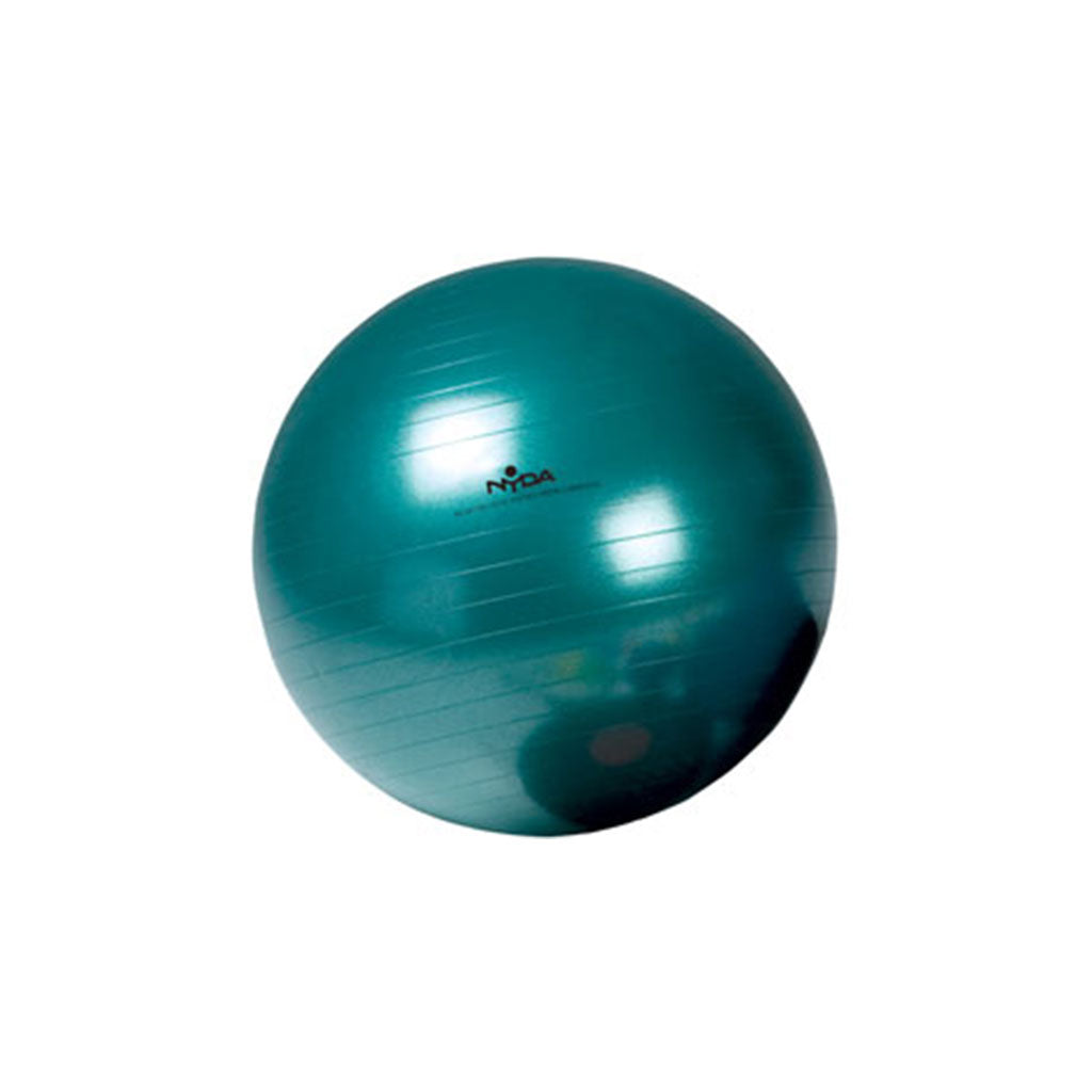Physio Ball - 65cm